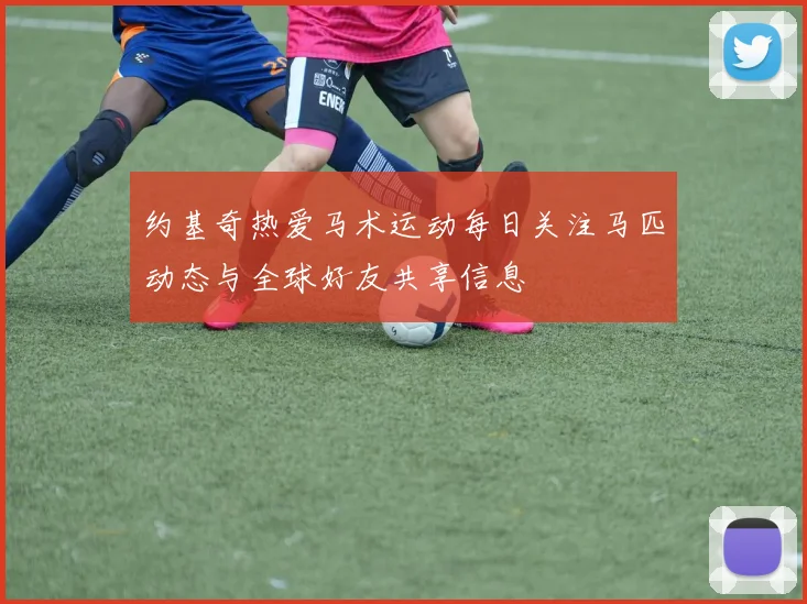 约基奇热爱马术运动每日关注马匹动态与全球好友共享信息