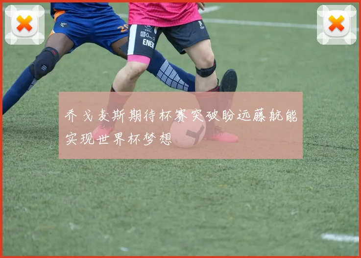 乔戈麦斯期待杯赛突破盼远藤航能实现世界杯梦想