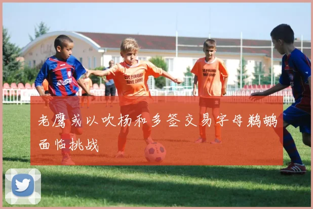 老鹰或以吹杨和多签交易字母鹈鹕面临挑战